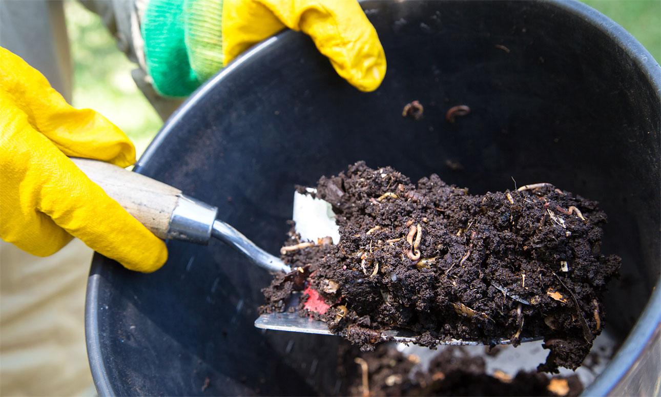 Yeronga Community Garden Promotes BCC’s Composting Project through Workshop
