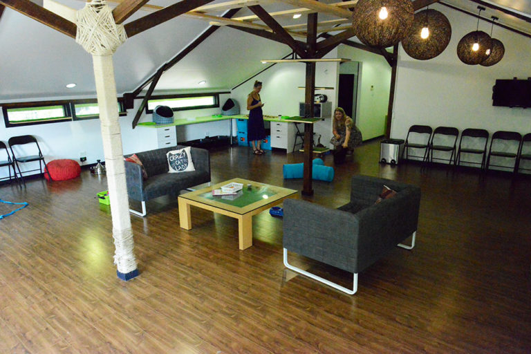 Lucky Cat Cafe in Annerley Is the Perfect Chill Spot For Cat Cuddles