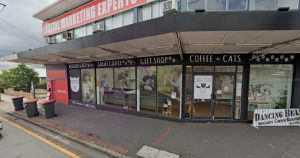 cat-cafe