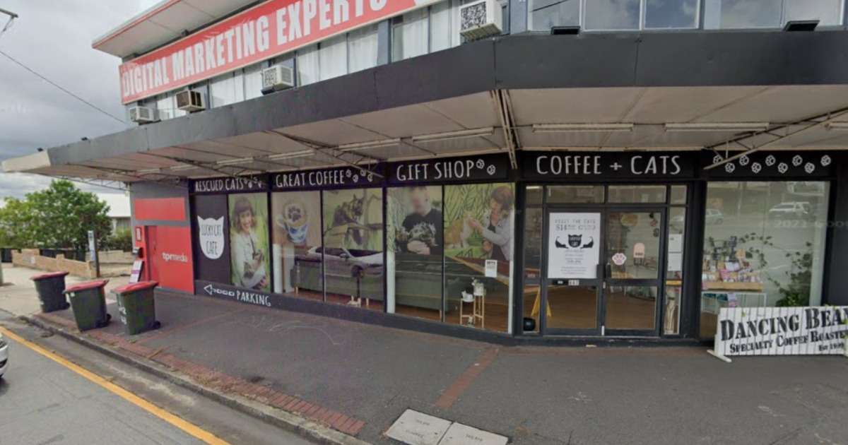 Annerley’s Lucky Cat Cafe Looking For New Owners