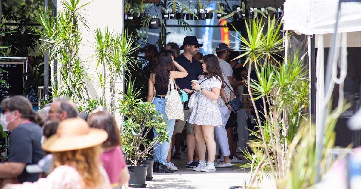 Plant Empire Christmas Market at Yeerongpilly Returns