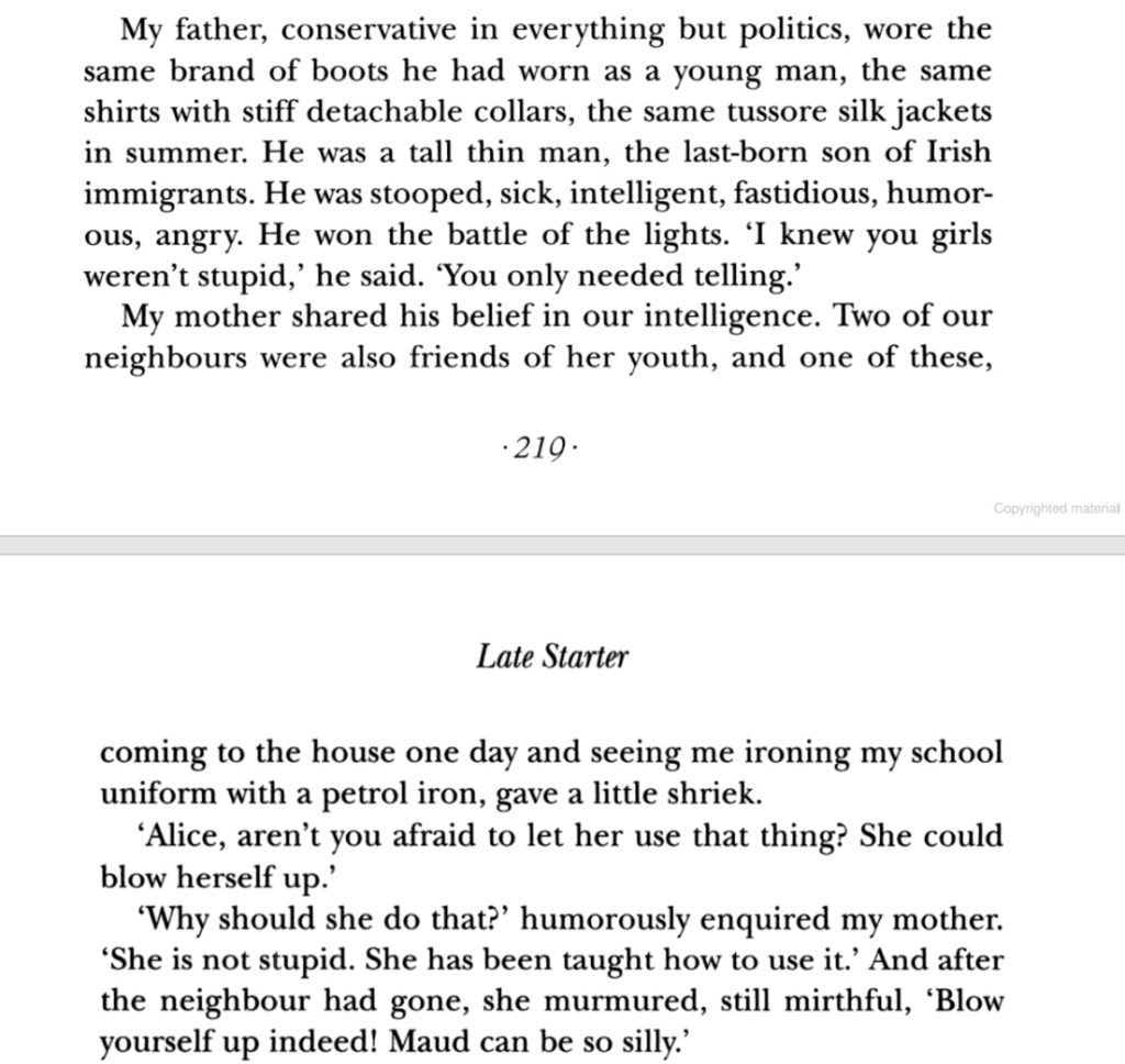 The Petrol Iron in Yeronga