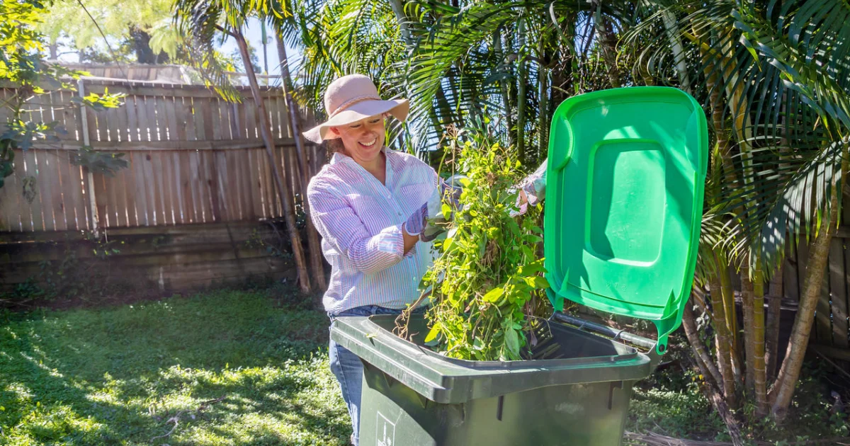 Green Bin Rollout Announced for Annerley and Surrounding Suburbs